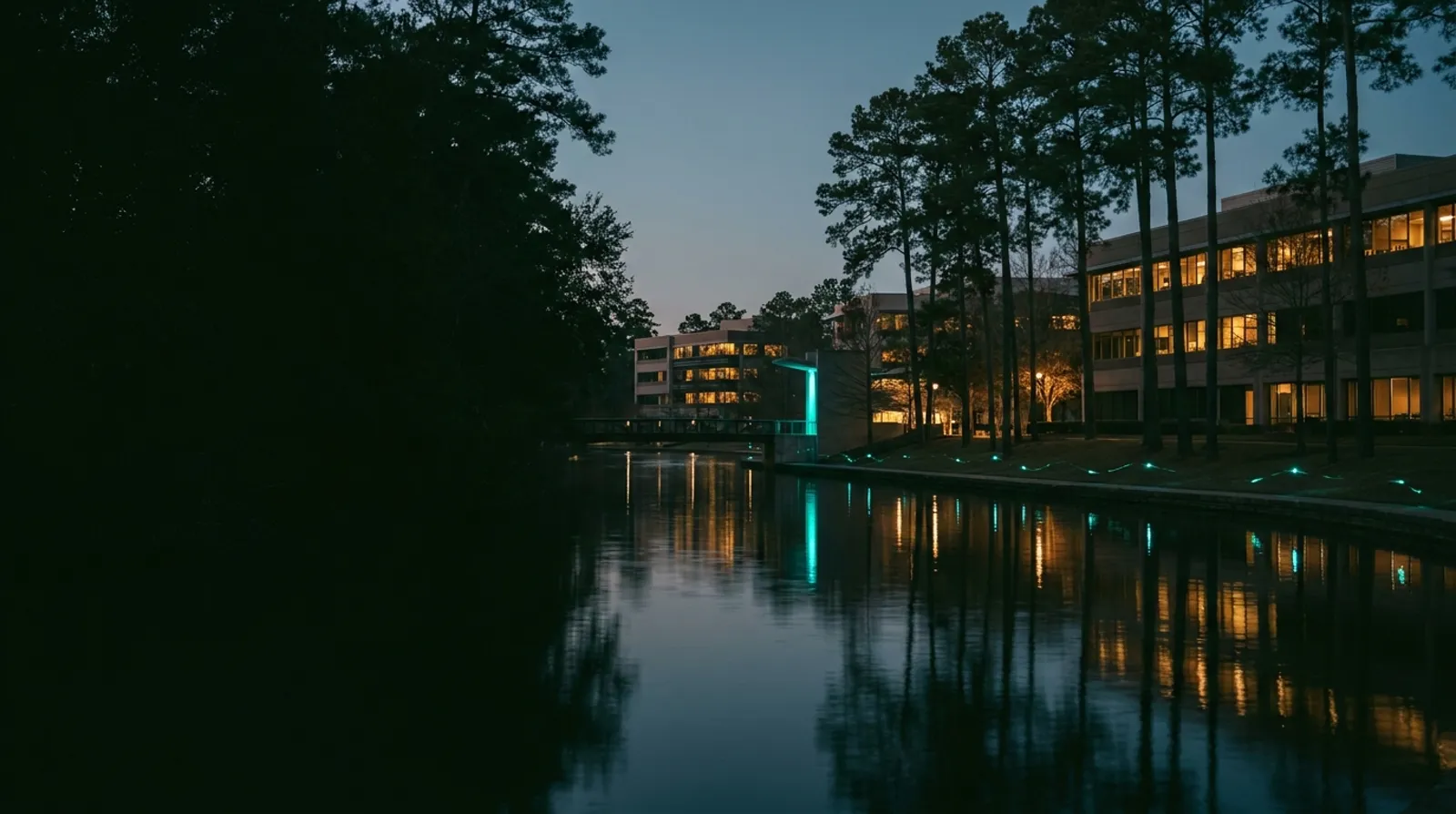 The Woodlands Texas representing AI automation services for local professional service businesses